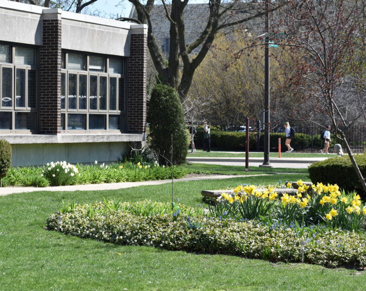 SheilCenterPhotos-Spring2023 (7)